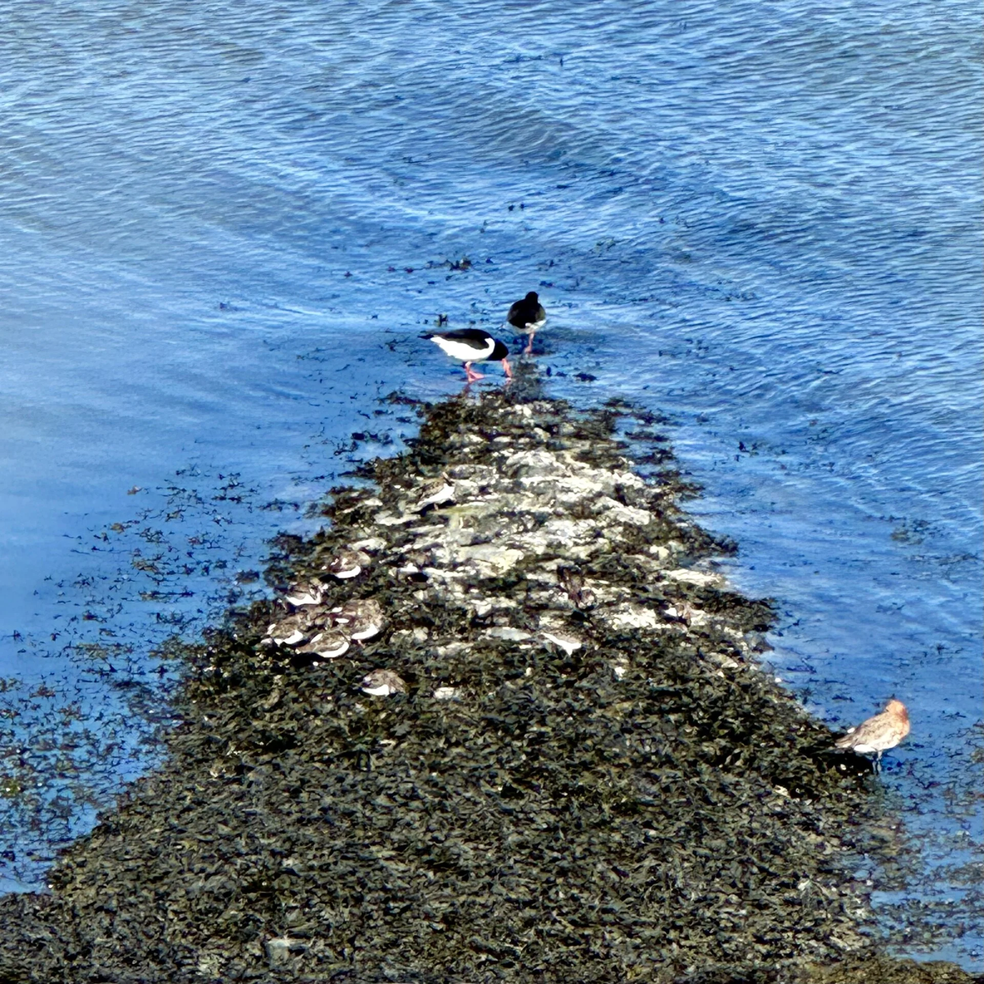 260422 SAZ Hoe ik je gevonden heb